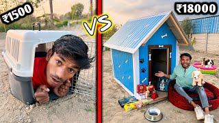 Overnight Survival Challenge  || Low budget pet house Challenge || **PET STORE ITEMS ONLY**