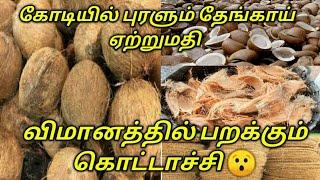 Coconut wholesale and export business full details / தேங்காய் ஏற்றுமதி வியாபாரம் பற்றிய தொகுப்பு