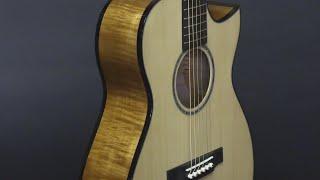 Jewitt Guitars Artist Series 2021