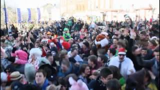 Harlem Shake @ Carnaval d'Arlon !  www.shootlux.be