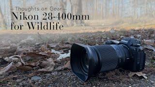 Nikon Z 28-400mm Lens Review for Wildlife Photography