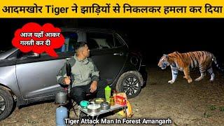 Night Camping In Forest Tiger Attack Jim Corbett Tiger During Camping Jungle Camping Video Indian