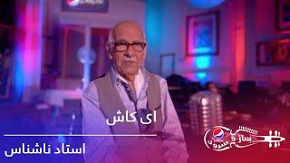 استاد ناشناس - ای کاش / Pepsi's Saz O Surood - Ustad Nashenas - Ay Kash