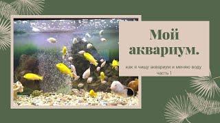 КАК Я ЧИЩУ МОЙ БОЛЬШОЙ АКВАРИУМ И МЕНЯЮ ВОДУ. МОЙ АКВАРИУМ. Часть 1