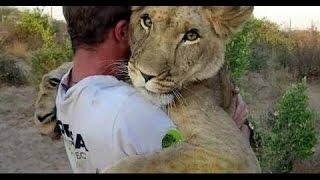 beSt DOcUmenTary OF all time THe MOST EXTReM predaTors6 aNIMals national geograpHIC