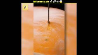 OMG  Microscope के अंदर ये दिखता है  | FactoHolic #shorts