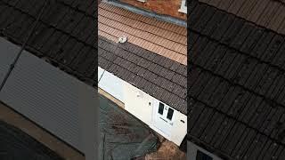 Satisfying Roof Cleaning Using Specialist Pressure Washing Techniques. #best #clean