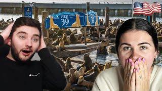 Brits Visit Pier 39 in San Francisco for the first time! USA Trip VLOG