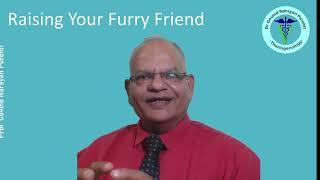 How to Care for Your Adolescent Dog | Expert Guide by GNP Sir