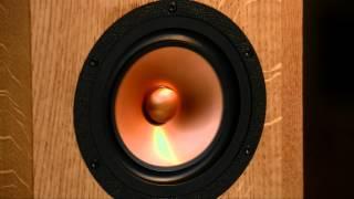 Bastiaan Jonniaux - Sibelius Loudspeakers