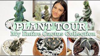 HOUSE PLANT TOUR / MY ENTIRE CACTUS COLLECTION 