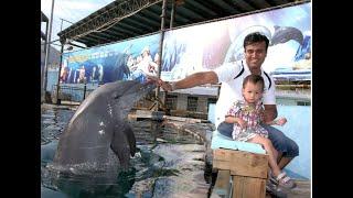 MY JUNIOR & ME PHOTO WITH DOLPHIN IN SHENZHEN CHINA