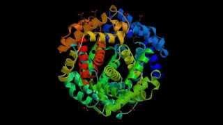 Combinatorial Inflation Refuted? Response to LithodidMan