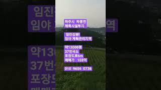 파주시 체육시설부지 (파평면 임진강뷰! ) 매매보류!평지 계획관리지역  12572평   매매가   103억     문의 010  9656  0736