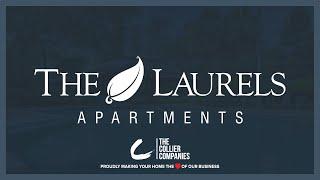 The Laurels Apartments in Gainesville, FL - 1 Bedroom Tour