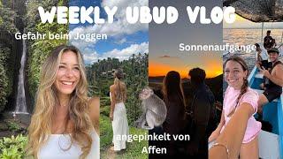 Peeed on by a monkey, dog attack & 2 am volcano tour | Ubud Adventure Traven Diary Part 8 