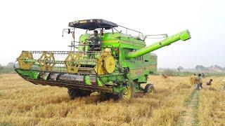 Harvester farming video l dhan katne wala machine l Harvester working l farming video l gadi video