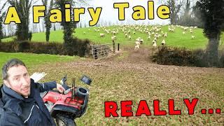 Farming Sheep: Fencing, Fails & Fairy Tales