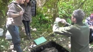 Coastal Field Archaeology at the Bamfield Marine Sciences Centre, July - August 2013