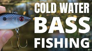 Top 3 Baits for WINTER Bass Fishing! #shorts