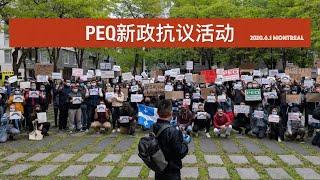 2020蒙特利尔PEQ新政抗议活动 Manifestation contre la réforme du PEQ 2020.06.01#PEQ #peqinjustice