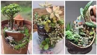 BEAUTIFUL ideas with VASES and SUCULENTS, Mini Garden and DIY recycling