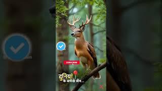 motivational status video #shortvideo #motivation #shortsfeed #hindishayari #sadshayari #quotes #20