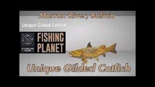 Fishing Planet Marron River   Bolivia   Unique Gilded Catfish Spot