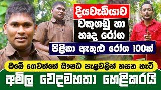 අමිල වෙදමහතාගේ අරුම පුදුම හෙළ ඖෂධ උයන ප්‍රථම වතාවට මාධ්‍යට | Amila Sanjeewa Wedamahatha