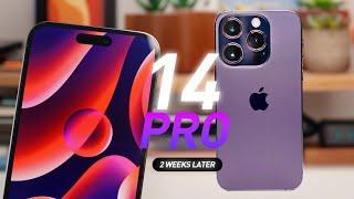 iPhone 14 Pro Max Review: A worthy upgrade!