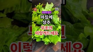 아침에 상추 무조건 이렇게 드세요 #건강 #건강정보 #음식