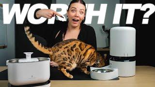 BEST Automatic Pet Feeder?? PETLIBRO Feeder Review (Bengal Cat Tested)