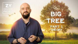 How does the Big Tree meditation work in Zhong Yuan Qigong?