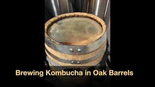 Brewing Kombucha in Oak Barrels