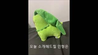 치코리타 인형 5434811 최승명