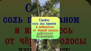 Смойте соль под краном и избавьтесь от чёрной полосы. Действует мгновенно