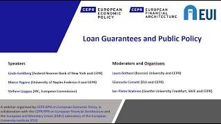 Loan Guarantees and Public Policy - CEPR RPN European Economic Policy & Financial Architecture