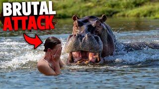 3 Most DISTURBING Times People Were EATEN ALIVE By Hippos!