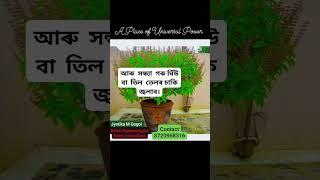 Vastu tips for Wealth & Harmony
