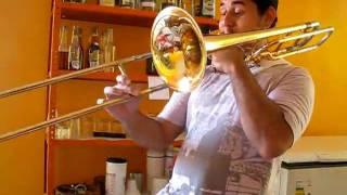 ROSA - THESCO CARVALHO DO TROMBONE.avi