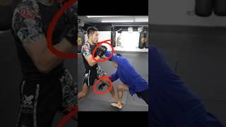 Takedown from combat sambo