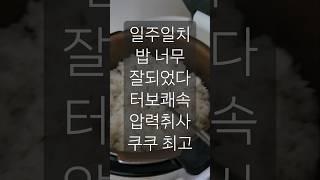 일주일치 밥 너무 잘되었다 터보쾌속 압력취사 쿠쿠 최고 8인분