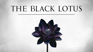 The Black Lotus | A History of Magic's Most Valuable Card