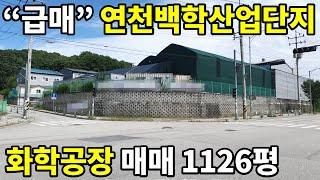 급매 연천백학산업단지 화학공장 매매 1126평 [파주탑부동산]