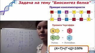 Подготовка к ЕГЭ по биологии. Задача на тему : "Биосинтез белка" №1