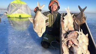 ВОТ ЭТО МОНСТРЫ!!! КРУПНЯК ДУРЕЕТ ОТ ЭТОЙ ПРИКОРМКИ! Рыбалка с ночевкой. Зимняя рыбалка 2025.
