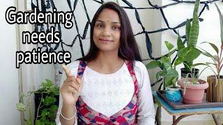 Patience is the key to success || Gardening needs patience || Neerupa's garden care