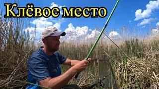 Fishing in the impassable wilds! Excellent catch.