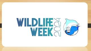 5 minutes video on WILDLIFE WEEK 2024