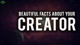 Beautiful Facts About Your Creator